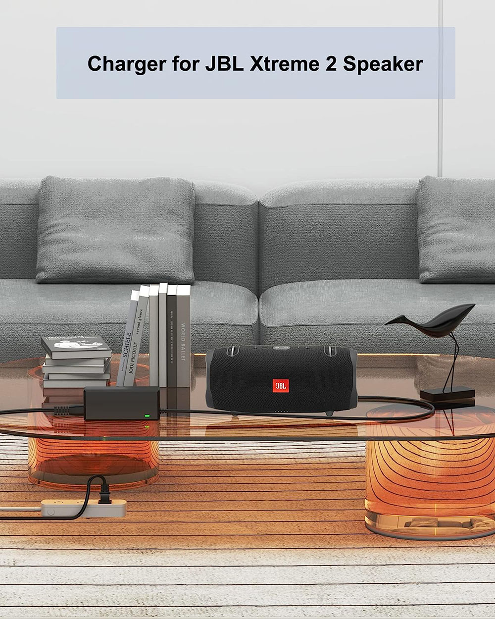 19V Charger Power Supply for X - đánh giá và giá Xtreme Power Tools